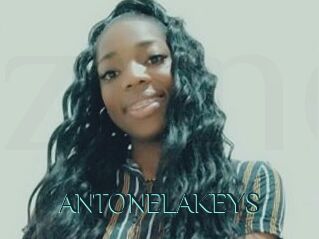 ANTONELAKEYS