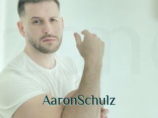 AaronSchulz