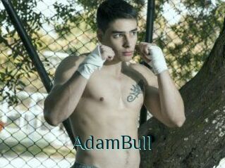 AdamBull