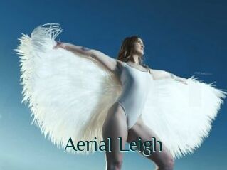 Aerial_Leigh