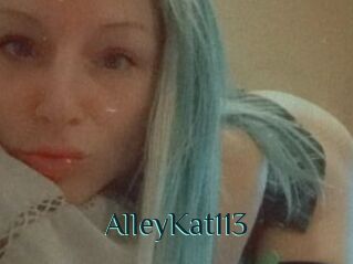 AlleyKat113