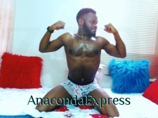 AnacondaExpress