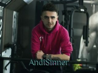 AndiSinner