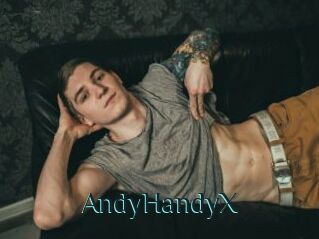 AndyHandyX