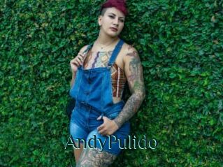 AndyPulido