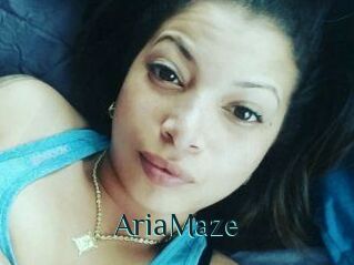 Aria_Maze