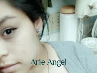 Arie_Angel