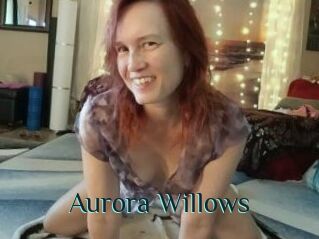 Aurora_Willows