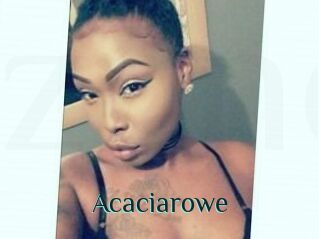 Acacia_rowe