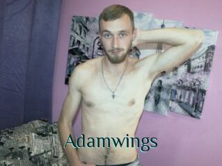 Adamwings