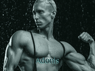 Adonis