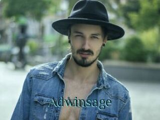 Adwinsage