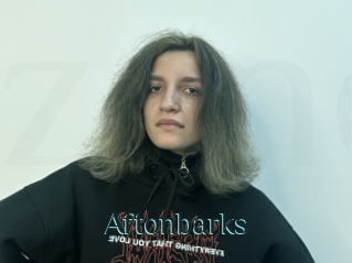 Aftonbarks