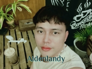 Aidenlandy