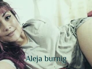 Aleja_burnig