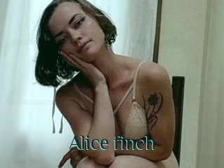 Alice_finch