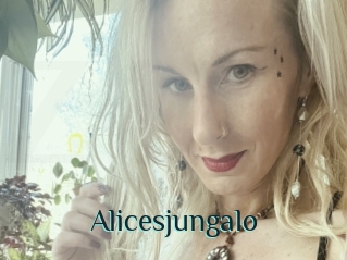 Alicesjungalo