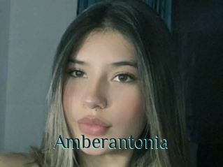 Amberantonia