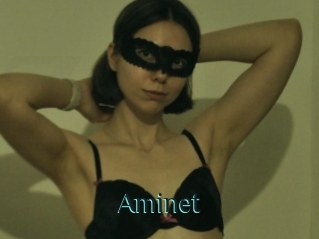 Aminet