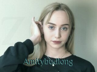 Amitybudlong