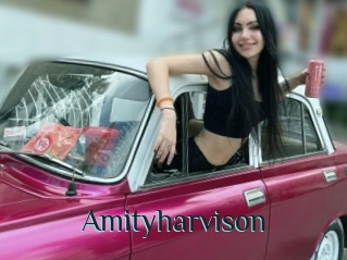 Amityharvison