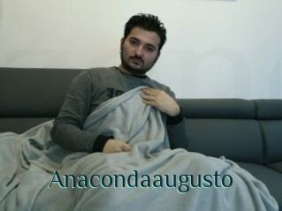 Anacondaaugusto