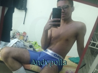 Andypolla