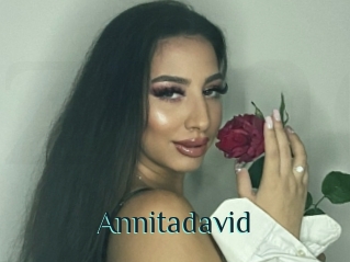 Annitadavid