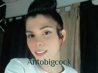 Antobigcock