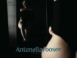 Antonellaroosee