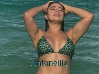 Antonellla