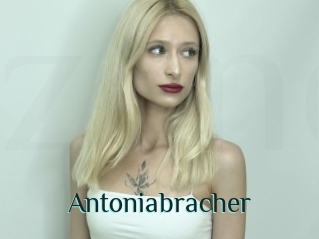 Antoniabracher