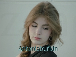 Antoniabufkin