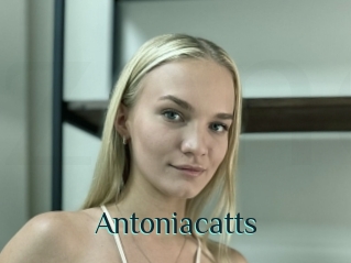 Antoniacatts