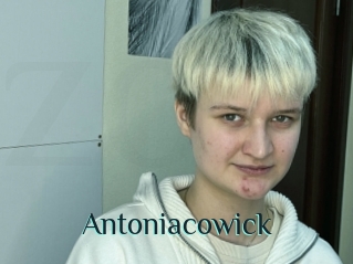 Antoniacowick