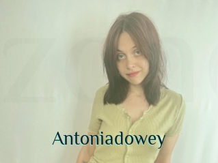 Antoniadowey