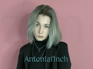 Antoniafinch