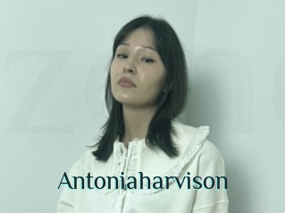 Antoniaharvison