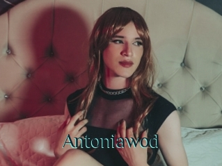 Antoniawod