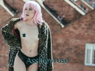 Asshleyrose