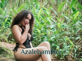 Azalehamiller