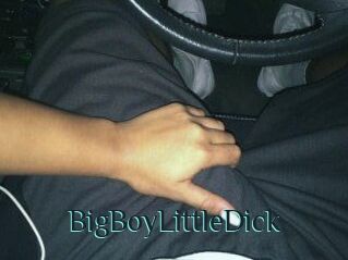 BigBoyLittleDick