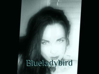 Blueladybird