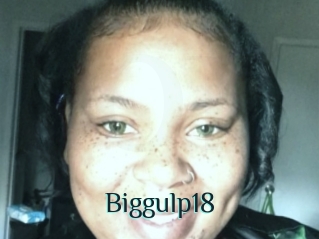 Biggulp18