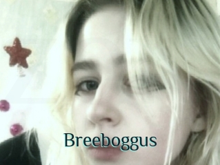 Breeboggus