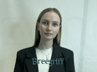 Breegriff