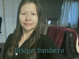 Bridget_banderro