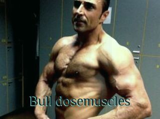 Bull_dosemuscles