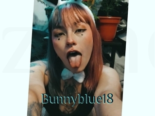 Bunnyblue18