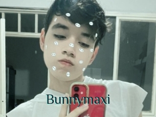 Bunnymaxi